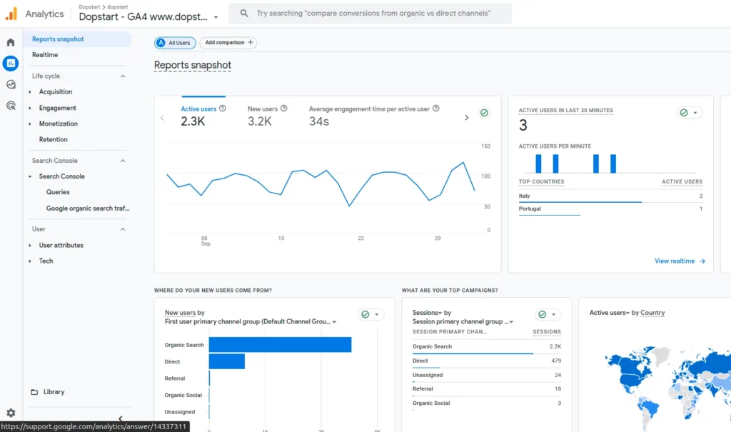 Snapshot Report in Google Analytics