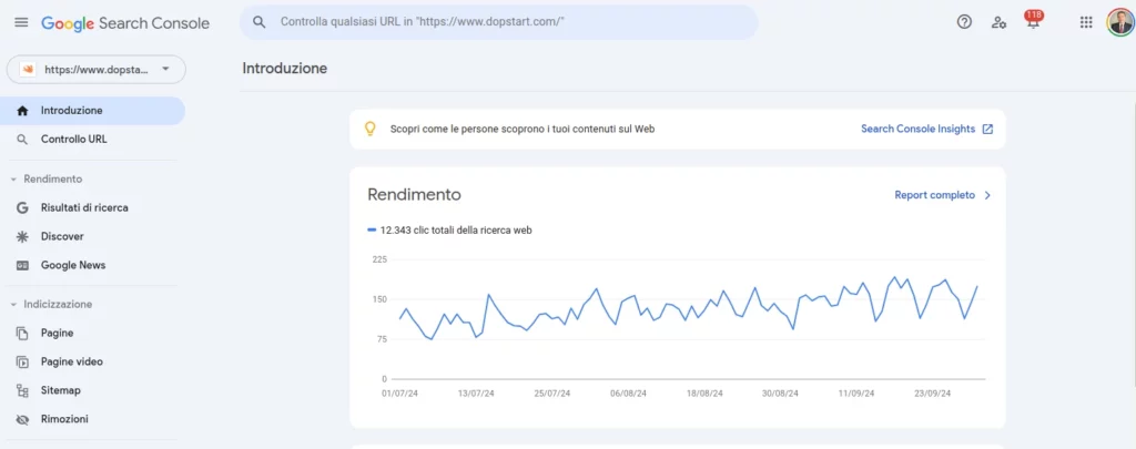 Schermata principale di Google Search Conaole